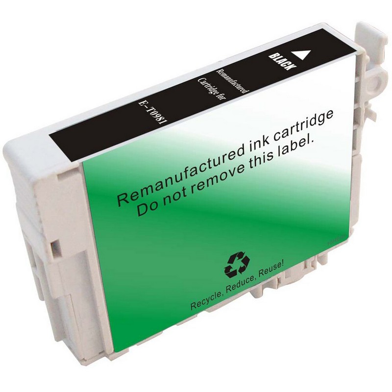 Epson T098120 Black Ink Cartridge